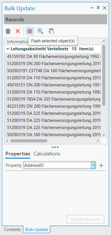 bulk-update-flash-selected-objects