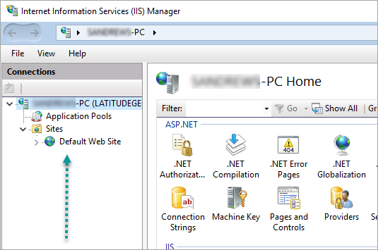 custom-website-iis1