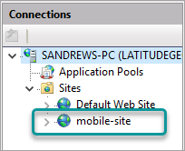 custom-website-iis4