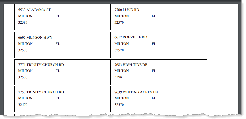 create-reports-mailing-labels-preview