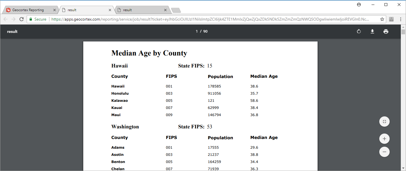 master-detail-report-preview