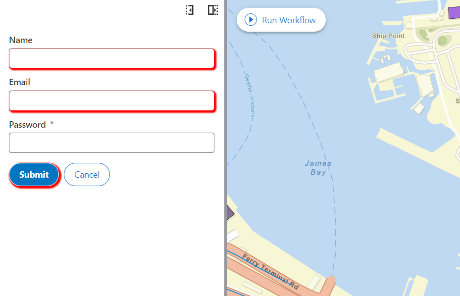 inject-css-form-example